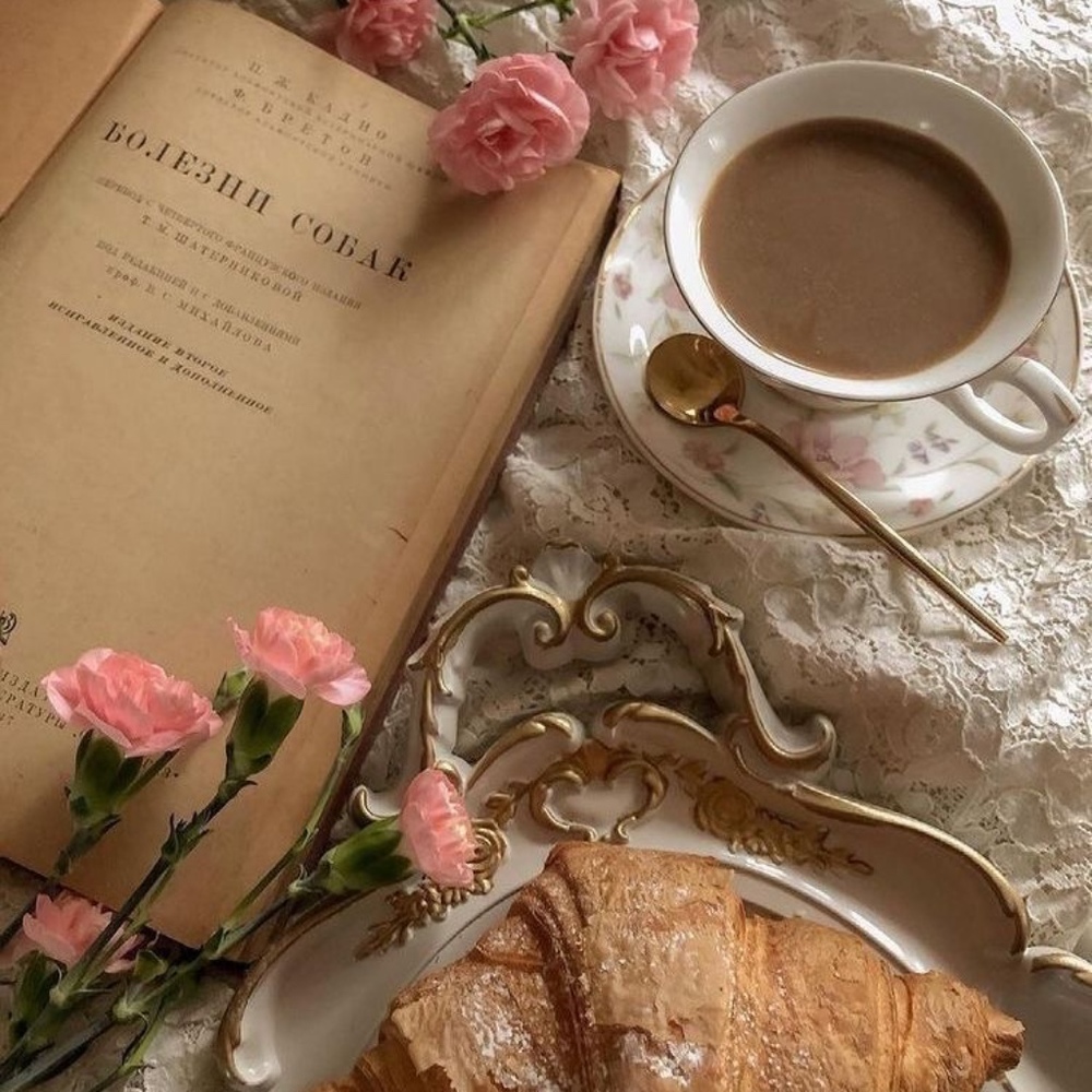 Meet your Posher, Harper